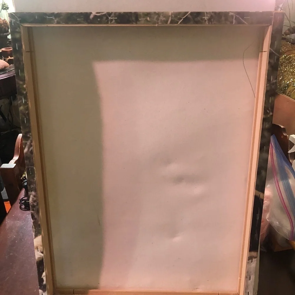 Lion On Canvas. 18” X24” - Picture 5 of 5